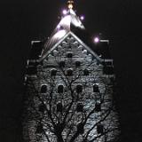 0311S 01 Dom Weihnachtsmarkt